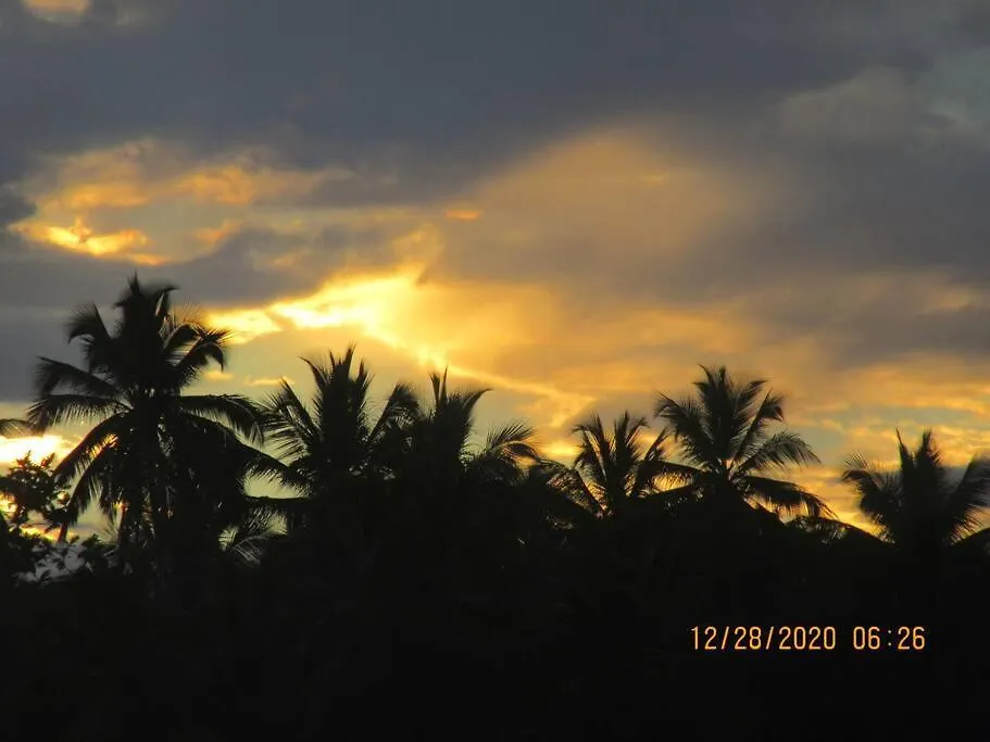 Pelicano Tropical Paraiso Samana Dominican Republic