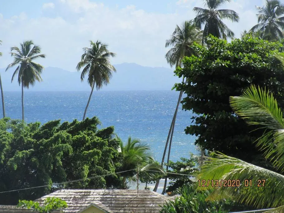 Pelicano Tropical Paraiso Samana